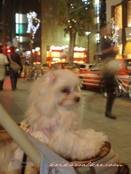 c0130854_13405622.jpg