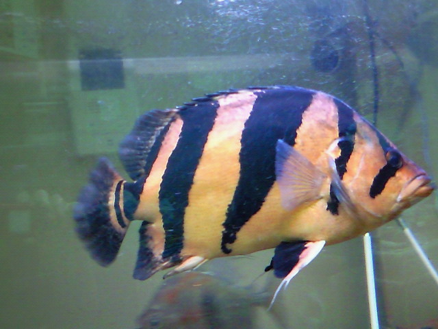 f0009758_13191327.jpg