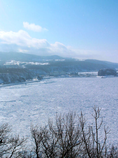 f0107364_2014212.jpg
