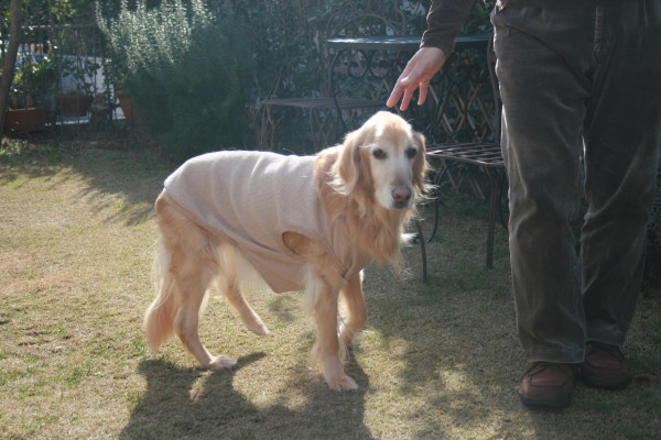 e0114977_10303633.jpg