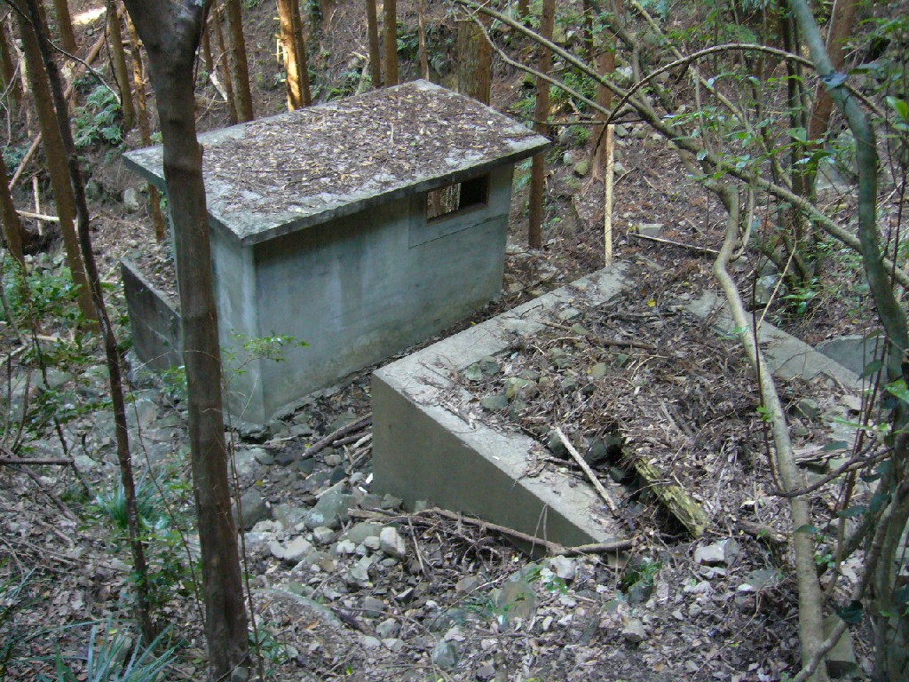 d0114583_9295682.jpg