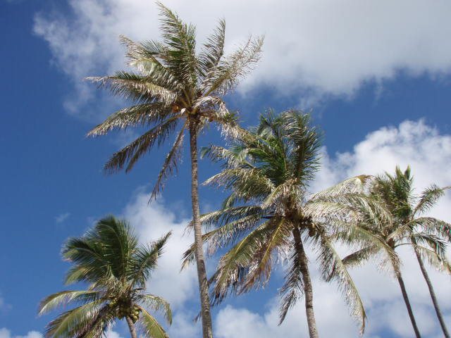 e0125483_17523087.jpg