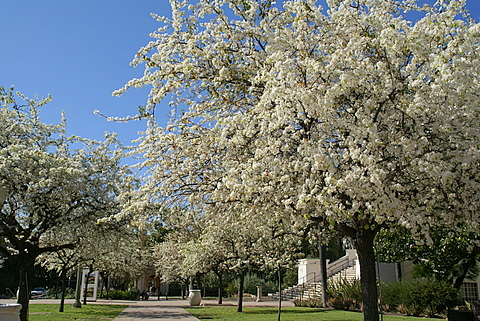 c0121289_1353986.jpg