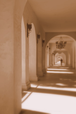 c0121289_1452643.jpg