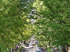 a0004391_018036.jpg
