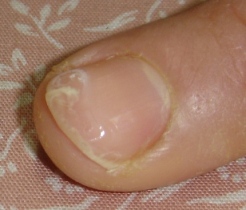 e0121192_13525690.jpg