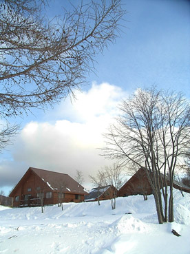 c0096393_2330225.jpg