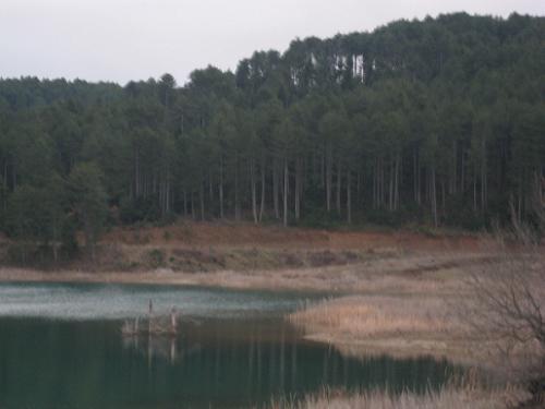 c0010496_342309.jpg
