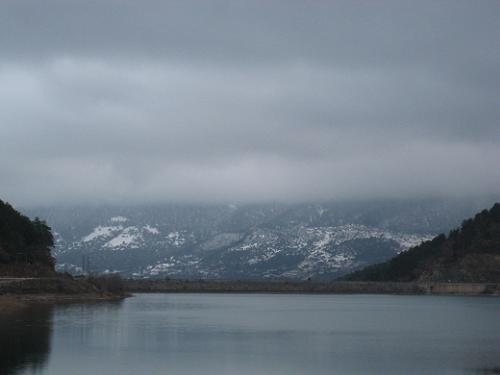 c0010496_3425063.jpg