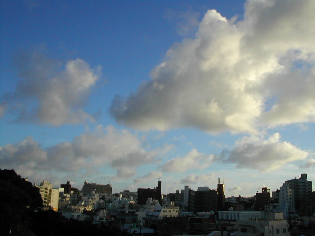 c0132608_11145316.jpg