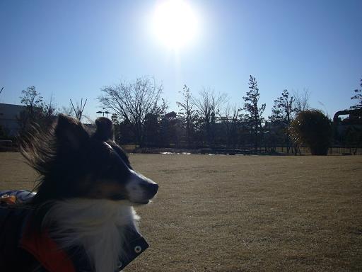 e0130008_172920.jpg