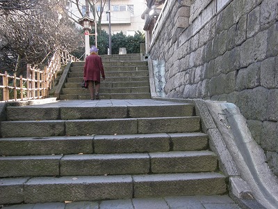 e0121110_1041286.jpg