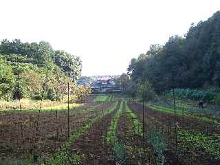 c0051112_17203452.jpg