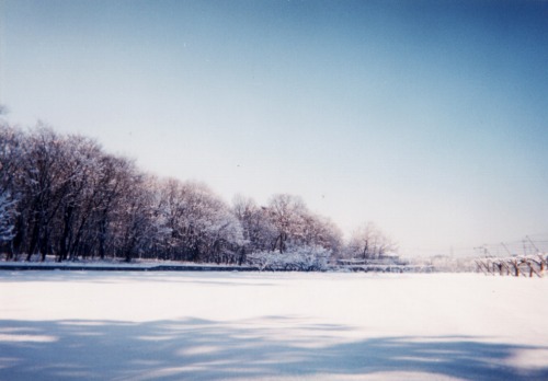 e0075015_4371959.jpg