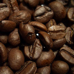 c0036617_20394036.jpg