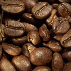 c0036617_20401889.jpg