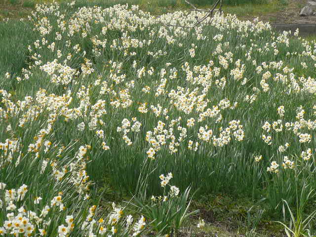 e0026017_2337275.jpg