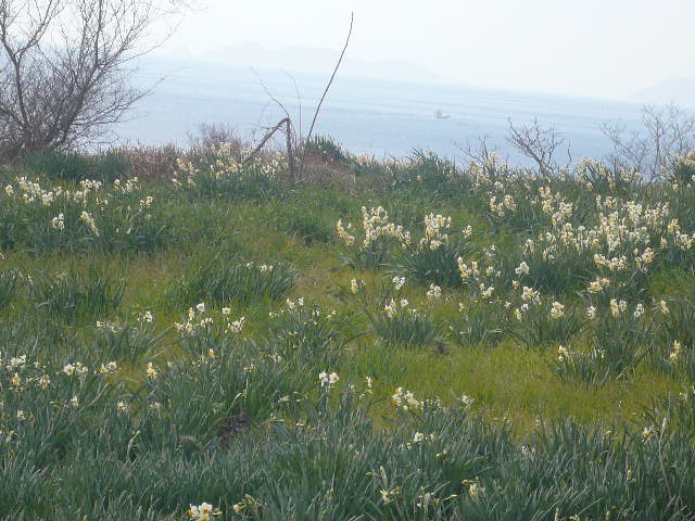 e0026017_23381585.jpg
