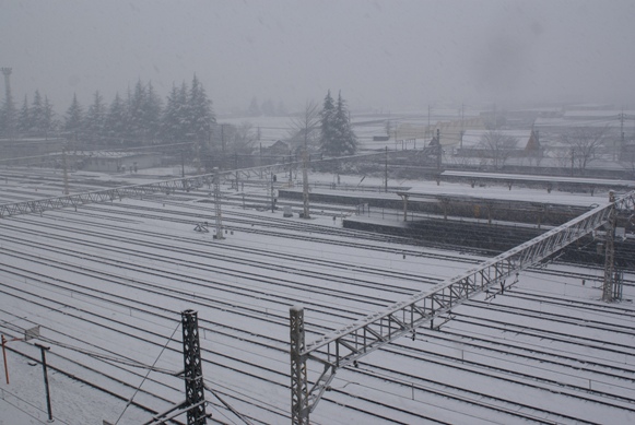 e0121018_825371.jpg