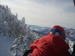 f0065126_12441.jpg