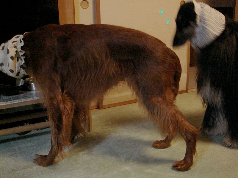c0059331_2253421.jpg