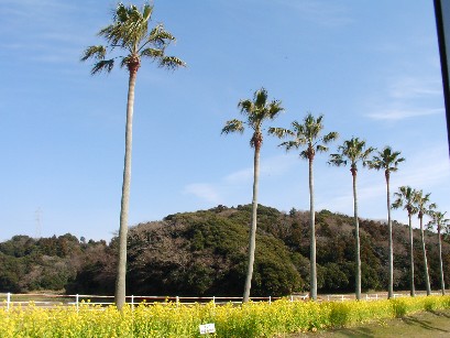 f0002833_18563687.jpg