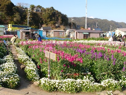 f0002833_18571098.jpg