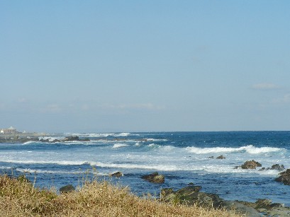 f0002833_185898.jpg