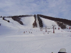 f0065941_05683.jpg