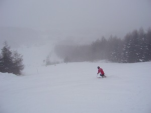 f0065941_0574546.jpg
