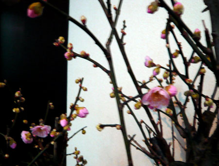 c0131544_20243730.jpg