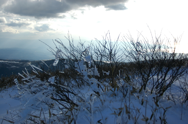 a0082146_124627.jpg