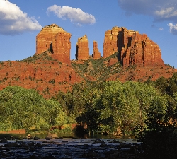 c0137548_1733586.jpg