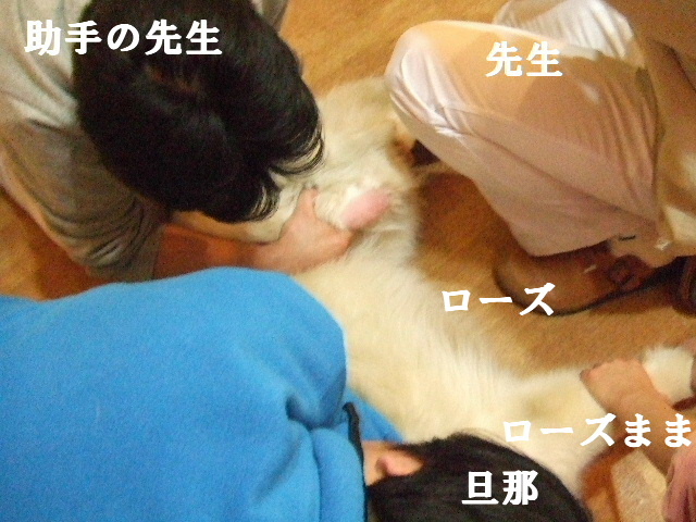 e0121548_9525522.jpg