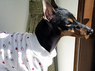 c0123149_1752343.jpg