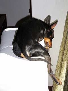 c0123149_177531.jpg