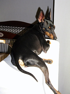 c0123149_1791492.jpg