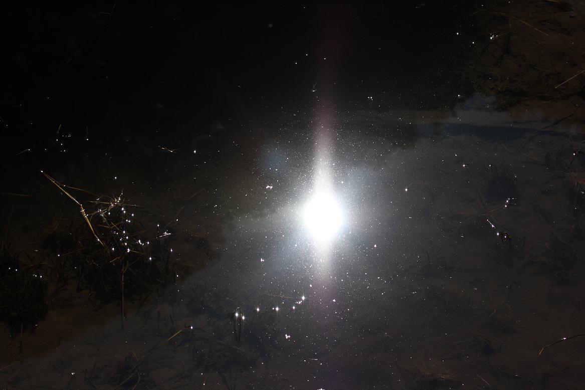 d0152551_1692343.jpg