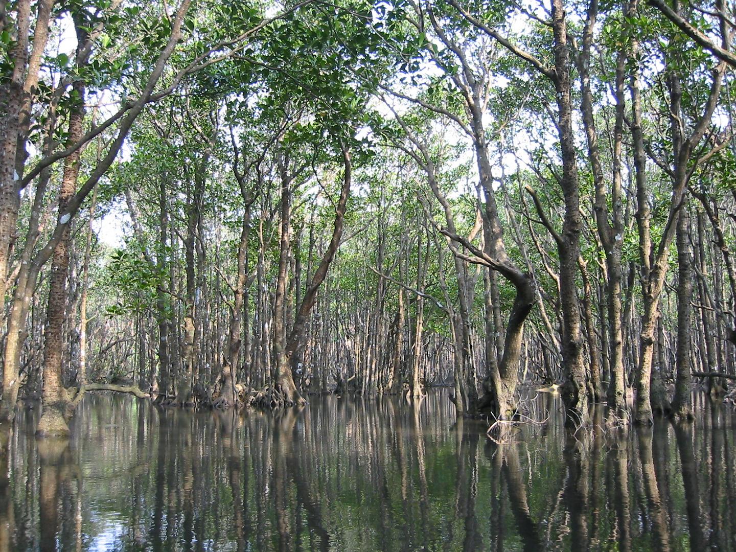 e0134752_12343820.jpg