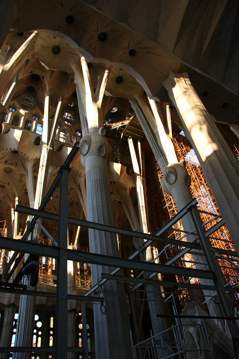 f0140054_2062415.jpg