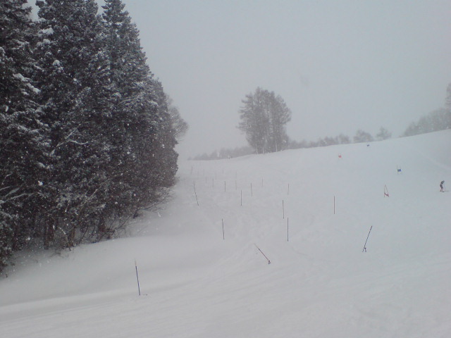 b0085469_20462633.jpg