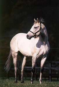 e0002676_205971.jpg