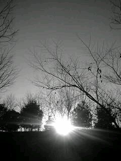f0100480_19132178.jpg