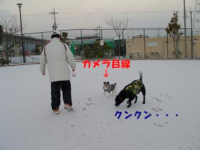 a0075993_1456564.jpg