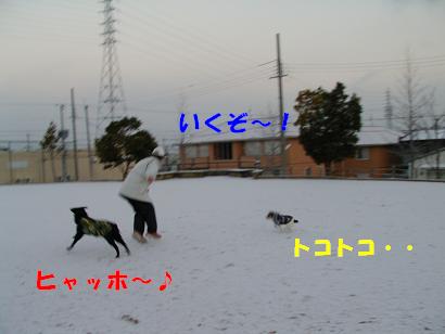 a0075993_14582660.jpg