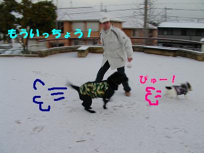 a0075993_1501921.jpg
