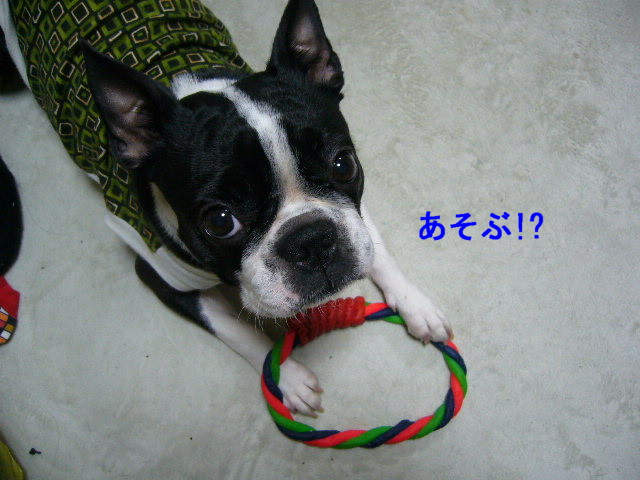 d0070702_2311817.jpg