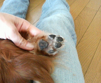 d0148202_2371988.jpg