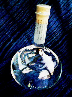 f0100505_2392136.jpg