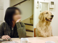 c0012120_2654100.jpg